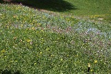 Авторский рекламный тур Switzerland  Panoramic tour -3D 09.06-16.06.2014_027.jpg